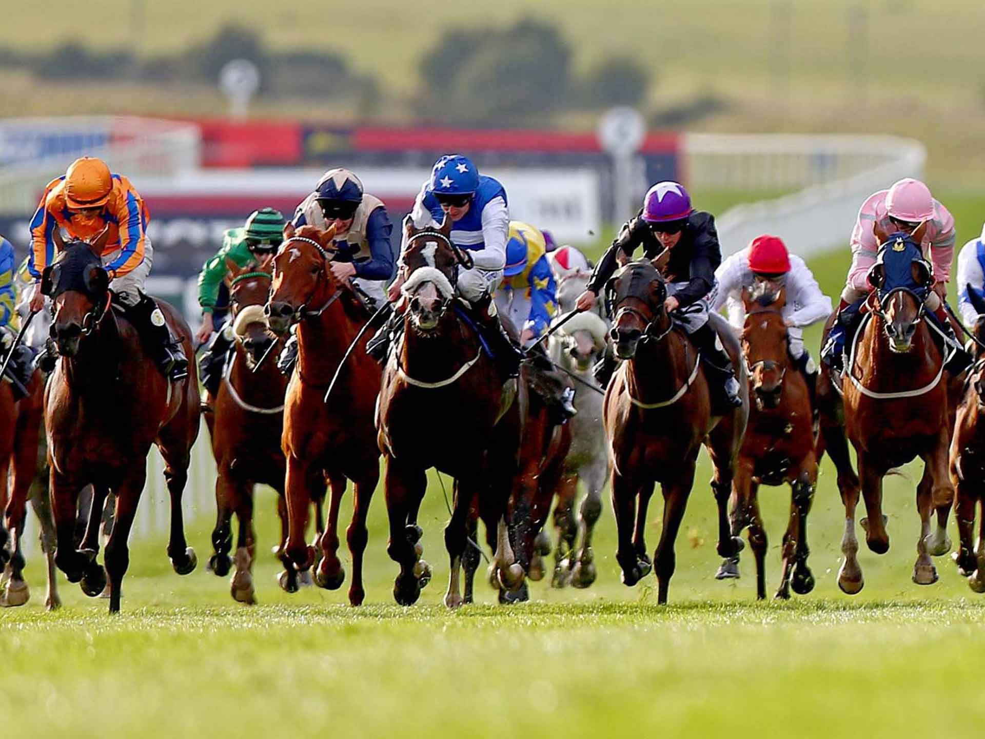Killarney Racing Festival Racing Events Kerry Parkavon Hotel